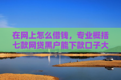 在网上怎么借钱，专业概括七款网贷黑户能下款口子大额