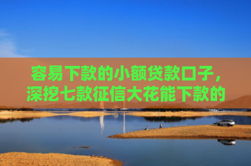 容易下款的小额贷款口子，深挖七款征信大花能下款的平台