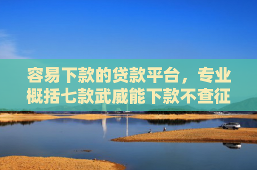 容易下款的贷款平台，专业概括七款武威能下款不查征信平台