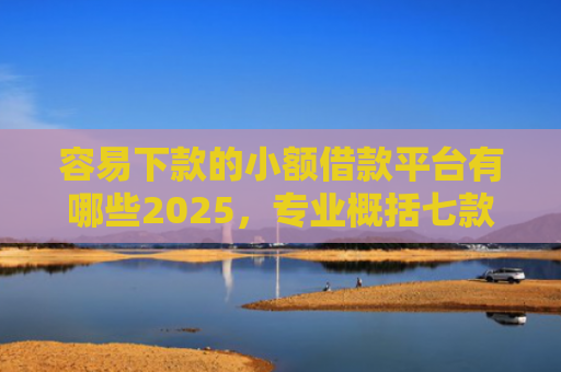 容易下款的小额借款平台有哪些2025，专业概括七款下款不看征信的网贷平台