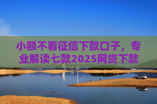 小额不看征信下款口子，专业解读七款2025网贷下款的口子