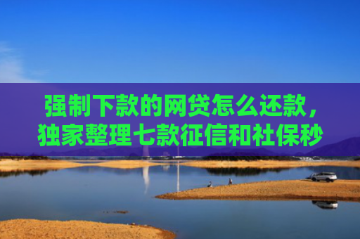 强制下款的网贷怎么还款，独家整理七款征信和社保秒下款平台