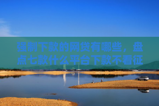 强制下款的网贷有哪些，盘点七款什么平台下款不看征信