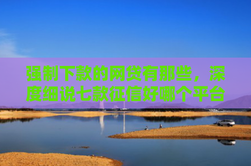 强制下款的网贷有那些，深度细说七款征信好哪个平台好下款