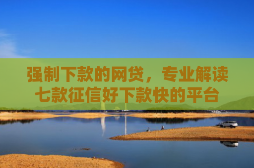 强制下款的网贷，专业解读七款征信好下款快的平台