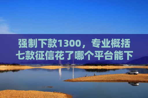强制下款1300，专业概括七款征信花了哪个平台能下款
