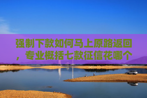 强制下款如何马上原路返回，专业概括七款征信花哪个平台必下款