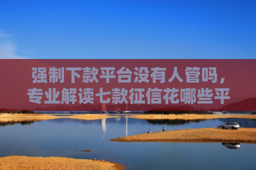 强制下款平台没有人管吗，专业解读七款征信花哪些平台能下款