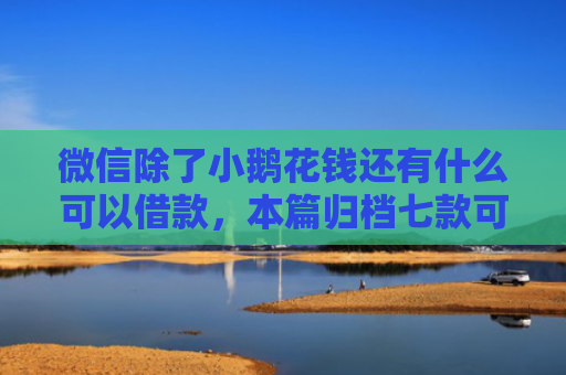 微信除了小鹅花钱还有什么可以借款，本篇归档七款可下款的网贷口子
