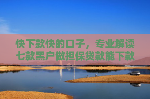 快下款快的口子，专业解读七款黑户做担保贷款能下款吗