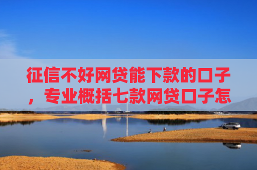征信不好网贷能下款的口子，专业概括七款网贷口子怎么填下款高