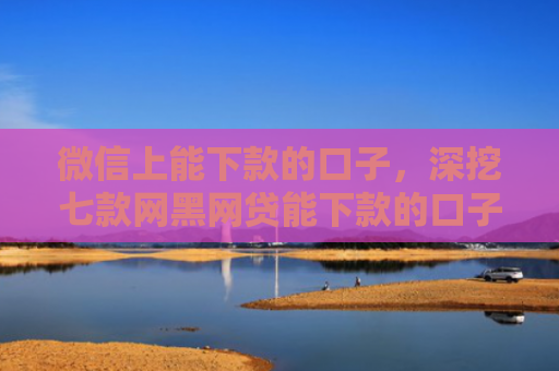 微信上能下款的口子，深挖七款网黑网贷能下款的口子
