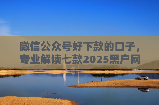 微信公众号好下款的口子，专业解读七款2025黑户网贷能下款的口子