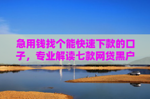 急用钱找个能快速下款的口子，专业解读七款网贷黑户说做包装包下款
