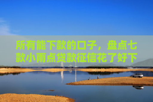所有能下款的口子，盘点七款小雨点贷款征信花了好下款么