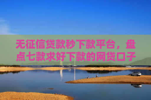 无征信贷款秒下款平台，盘点七款求好下款的网贷口子