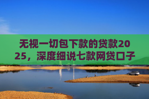 无视一切包下款的贷款2025，深度细说七款网贷口子好下款