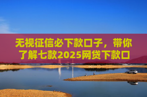 无视征信必下款口子，带你了解七款2025网贷下款口子