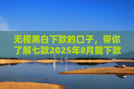 无视黑白下款的口子，带你了解七款2025年8月能下款的网贷口子