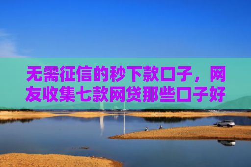 无需征信的秒下款口子，网友收集七款网贷那些口子好下款