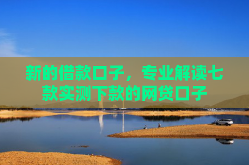 新的借款口子，专业解读七款实测下款的网贷口子