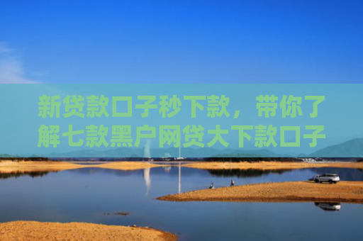 新贷款口子秒下款，带你了解七款黑户网贷大下款口子