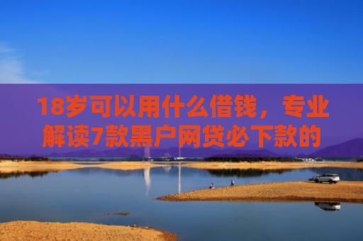 18岁可以用什么借钱，专业解读7款黑户网贷必下款的口子