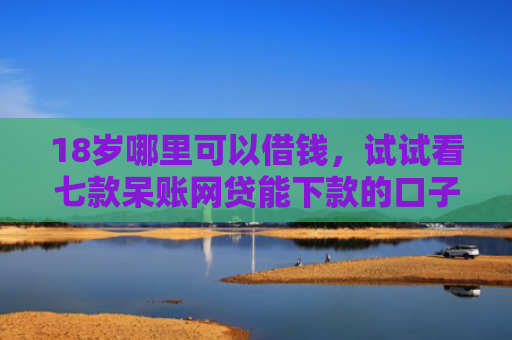 18岁哪里可以借钱，试试看七款呆账网贷能下款的口子