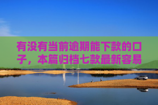 有没有当前逾期能下款的口子，本篇归档七款最新容易下款网贷口子