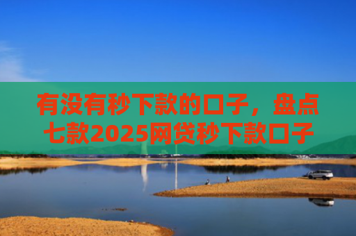 有没有秒下款的口子，盘点七款2025网贷秒下款口子