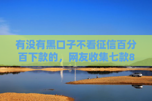 有没有黑口子不看征信百分百下款的，网友收集七款8月网贷下款口子