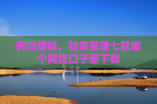有呗借钱，独家整理七款哪个网贷口子豪下款