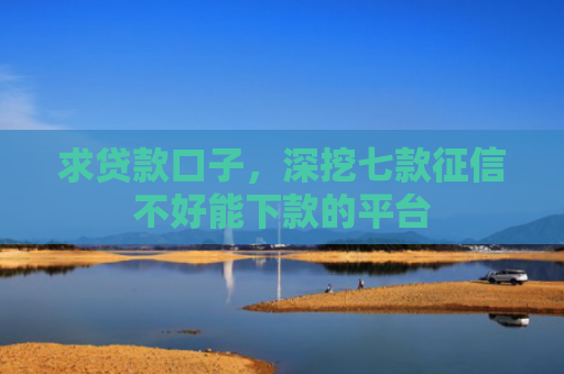 求贷款口子，深挖七款征信不好能下款的平台