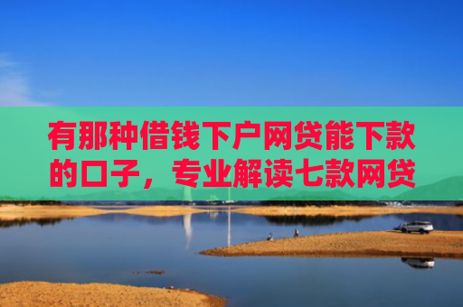 有那种借钱下户网贷能下款的口子，专业解读七款网贷下款口子怎么找
