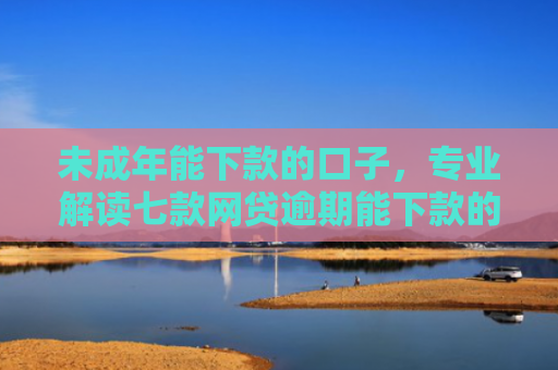 未成年能下款的口子，专业解读七款网贷逾期能下款的口子