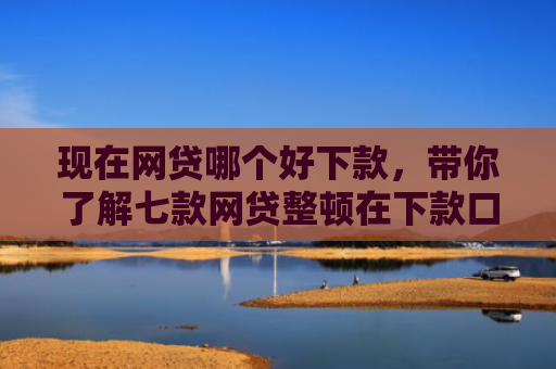 现在网贷哪个好下款，带你了解七款网贷整顿在下款口子