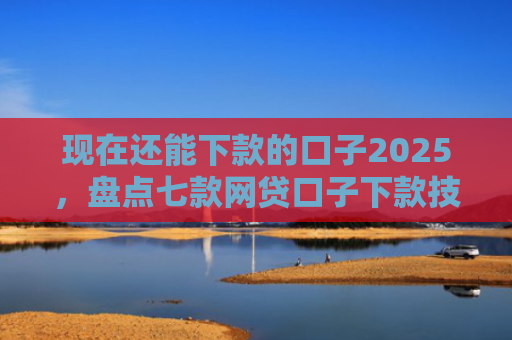 现在还能下款的口子2025，盘点七款网贷口子下款技巧