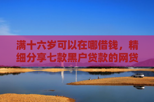 满十六岁可以在哪借钱，精细分享七款黑户贷款的网贷能下款吗