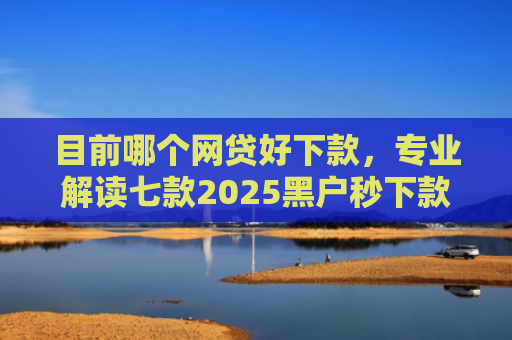 目前哪个网贷好下款，专业解读七款2025黑户秒下款的APP