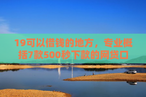 19可以借钱的地方，专业概括7款500秒下款的网贷口子