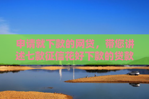 申请就下款的网贷，带您讲述七款征信花好下款的贷款