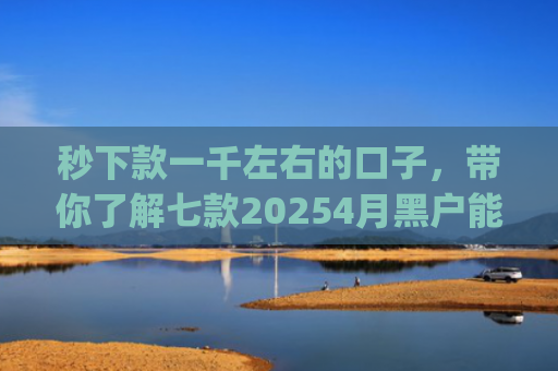秒下款一千左右的口子，带你了解七款20254月黑户能下款app