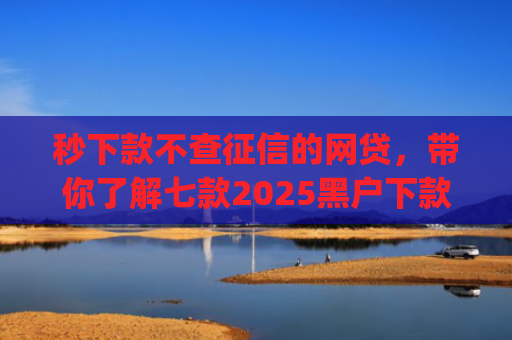 秒下款不查征信的网贷，带你了解七款2025黑户下款app