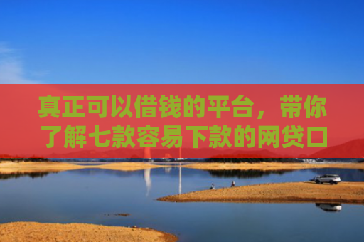 真正可以借钱的平台，带你了解七款容易下款的网贷口子高