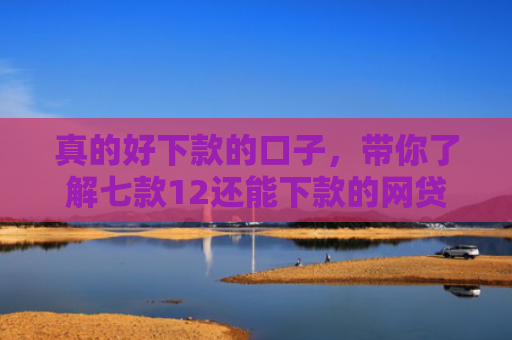 真的好下款的口子，带你了解七款12还能下款的网贷口子