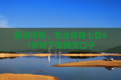着急借钱，专业概括七款61岁好下款网贷口子