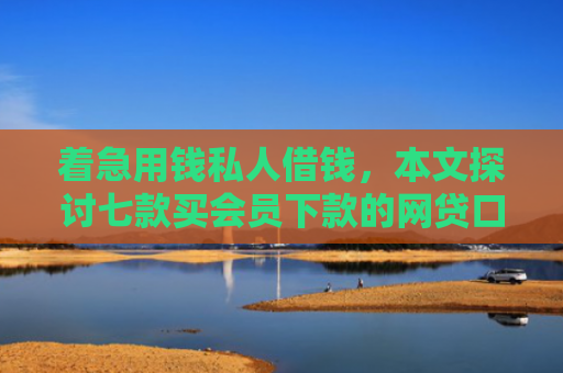 着急用钱私人借钱，本文探讨七款买会员下款的网贷口子