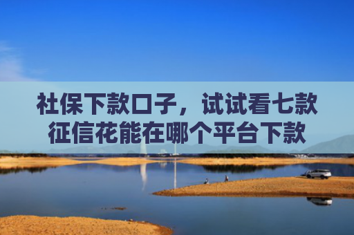 社保下款口子，试试看七款征信花能在哪个平台下款