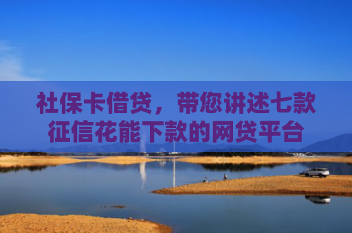 社保卡借贷，带您讲述七款征信花能下款的网贷平台