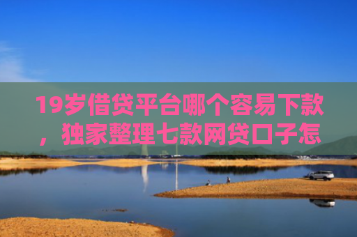 19岁借贷平台哪个容易下款，独家整理七款网贷口子怎样下款